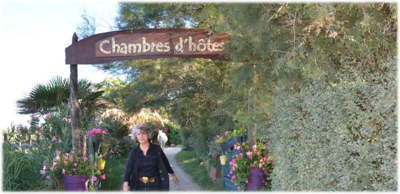 Gites Chambres D'Hotes Mazet Du Marechal Ferrant Saintes-Maries-de-la-Mer Exterior photo